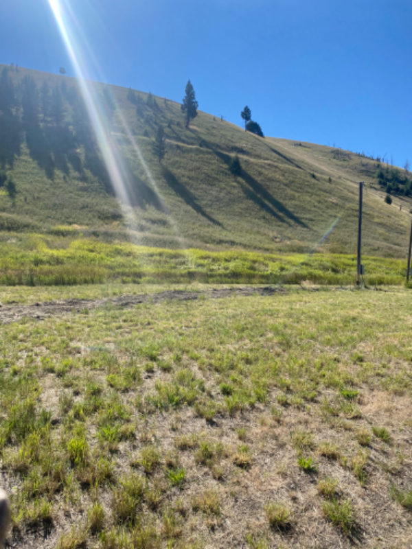 Cheap Houses for Rent in Butte, ButteSilver Bow, MT Affordable