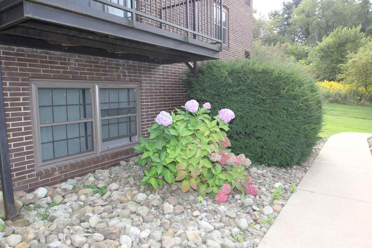 151 MILNE DRIVEAPT D-12 #D12 - Photo 2 of 7