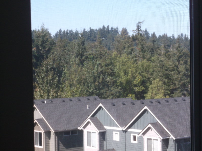 2513 Rockrose Ln - Photo 3 of 38