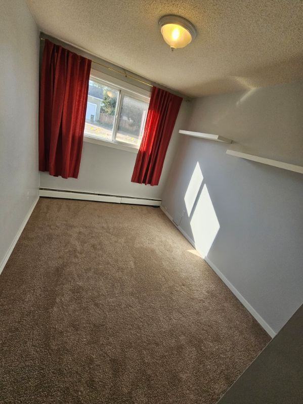 Arlington - Photo 3 of 14