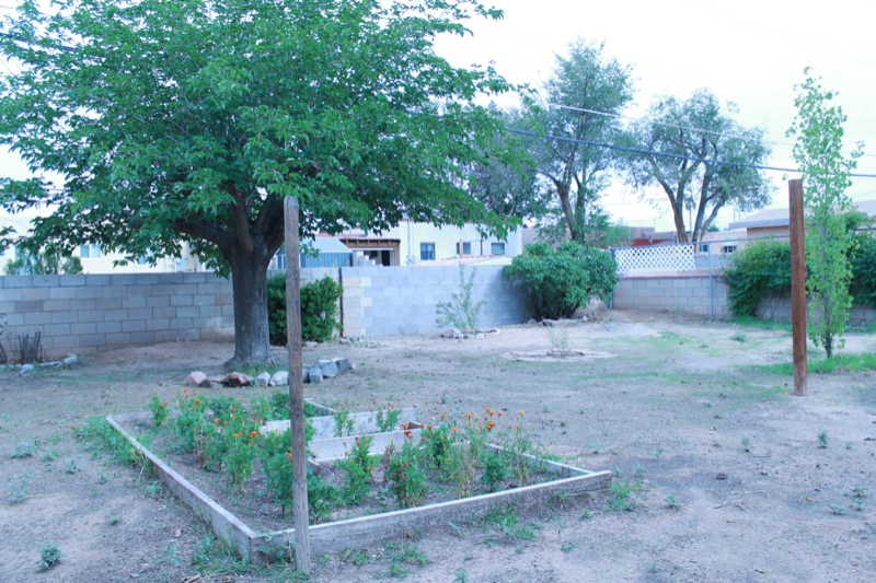 1030 Buena Vista Dr Se - Photo 3 of 34