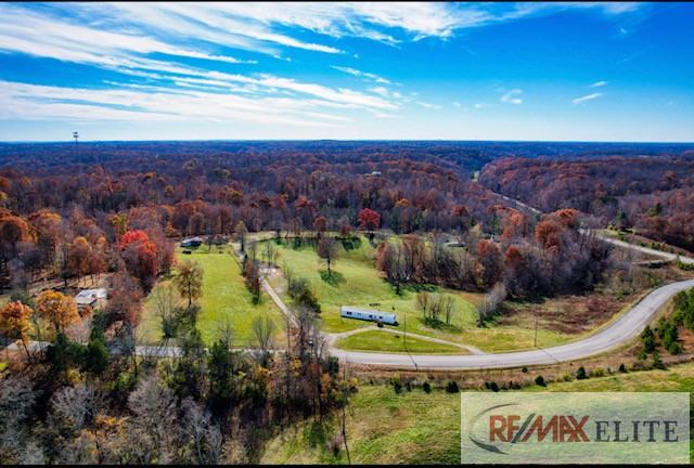 3917 Mobley's Cut Road - Photo 3 of 15