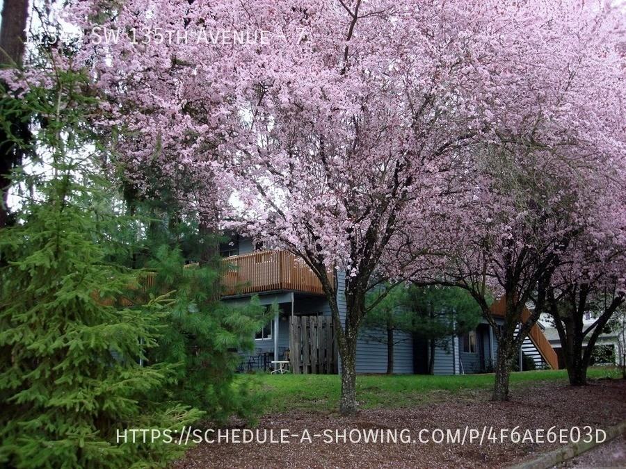 11349 Sw 135th Ave #7