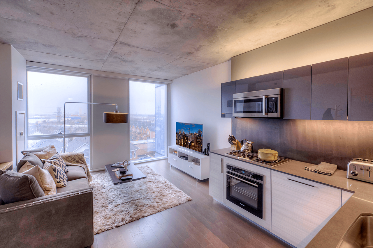 Xavier - Photo 7 of 50