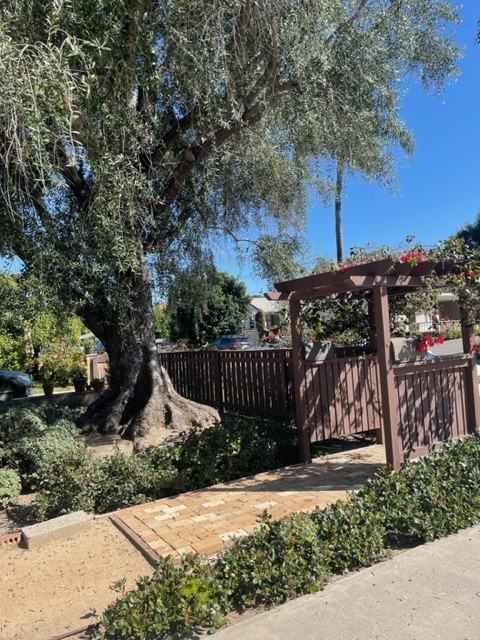 31451 La Calera St #B - Photo 2 of 24