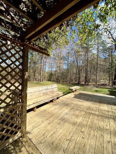 196 Apache Pointe Dr - Photo 2 of 12