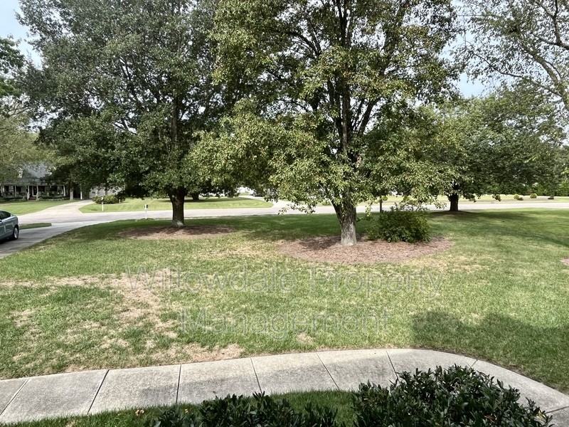 4917 Allanbrooke Ln - Photo 4 of 26