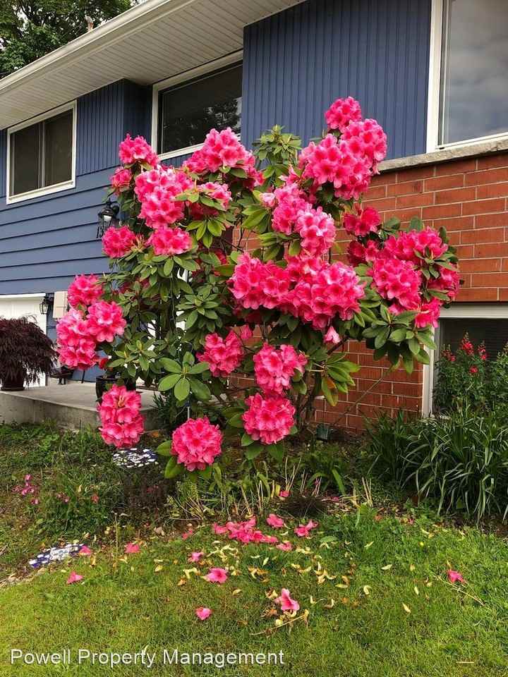 1327 S 232nd St - Photo 3 of 8