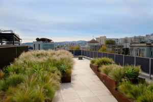 featured image of 188 Octavia St