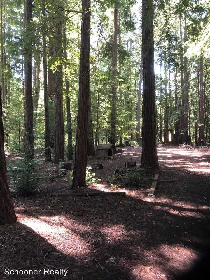 6790 Bonny Doon Rd - Photo 3 of 17