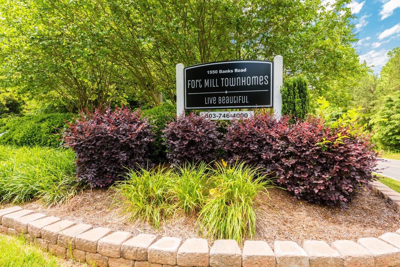 Fort Mill III - Photo 4 of 11