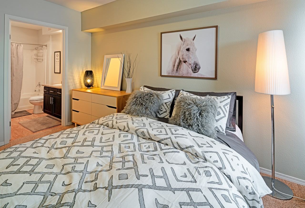 Axcess 15 Apartments - Photo 5 of 14