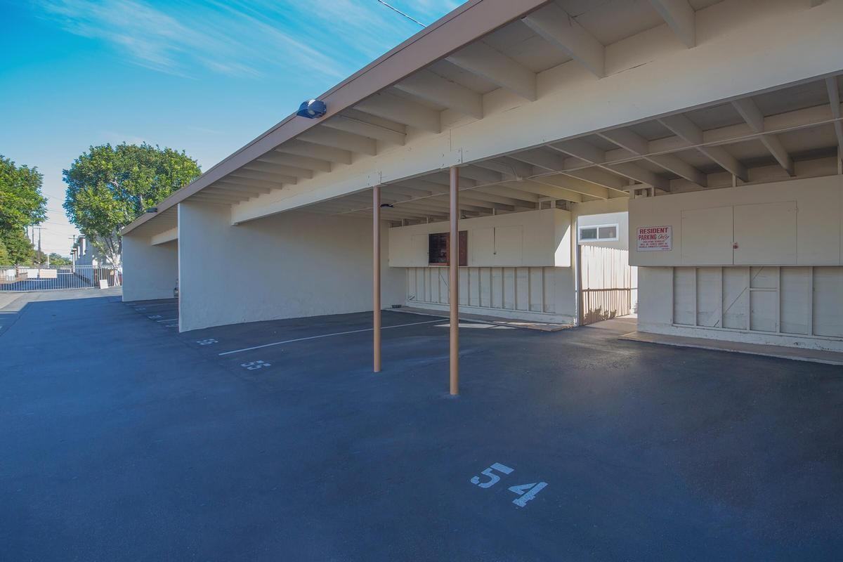 7802 Samura Pl - Photo 6 of 12