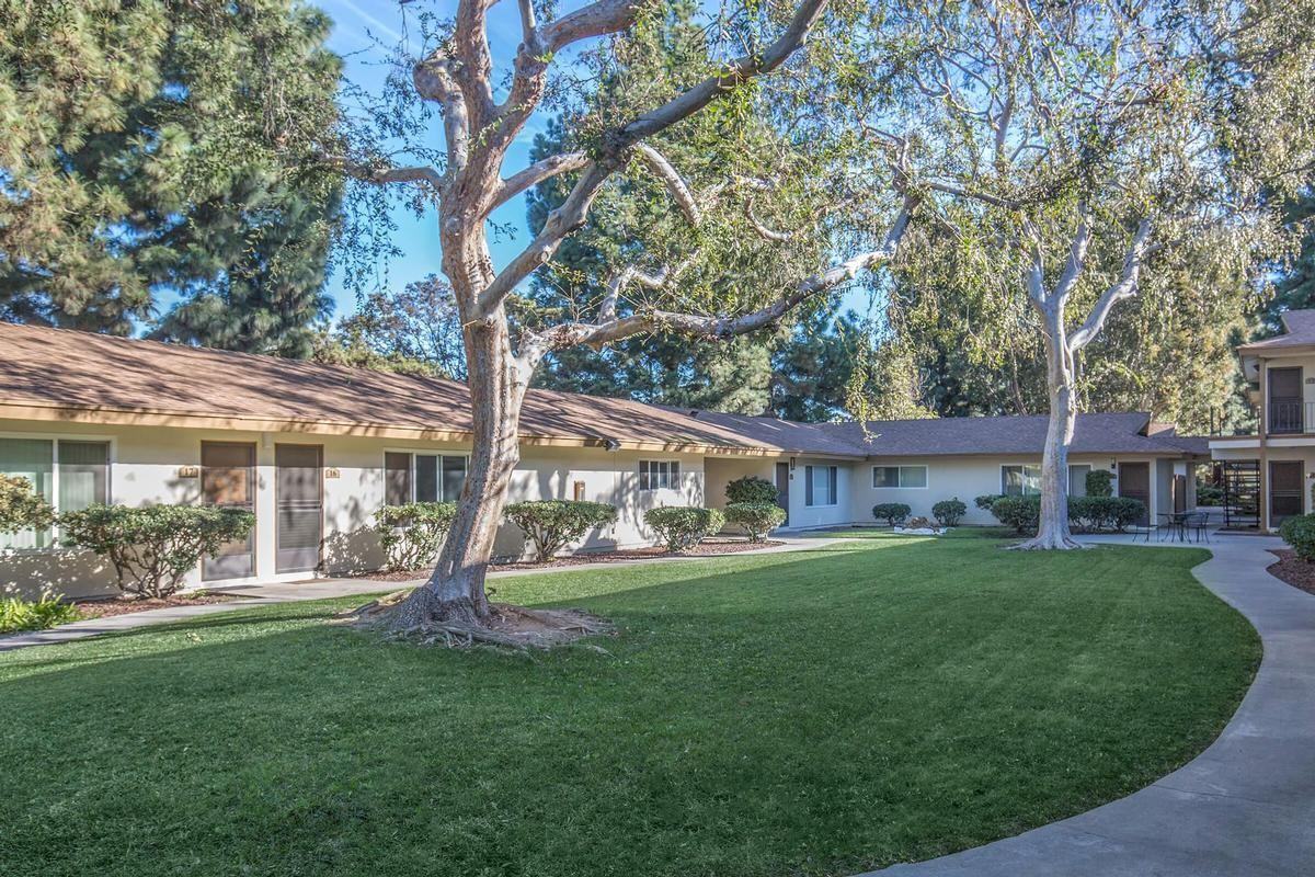 7802 Samura Pl - Photo 3 of 12