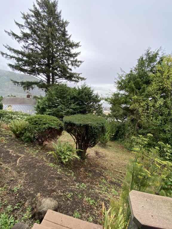 311 King St - Photo 2 of 12
