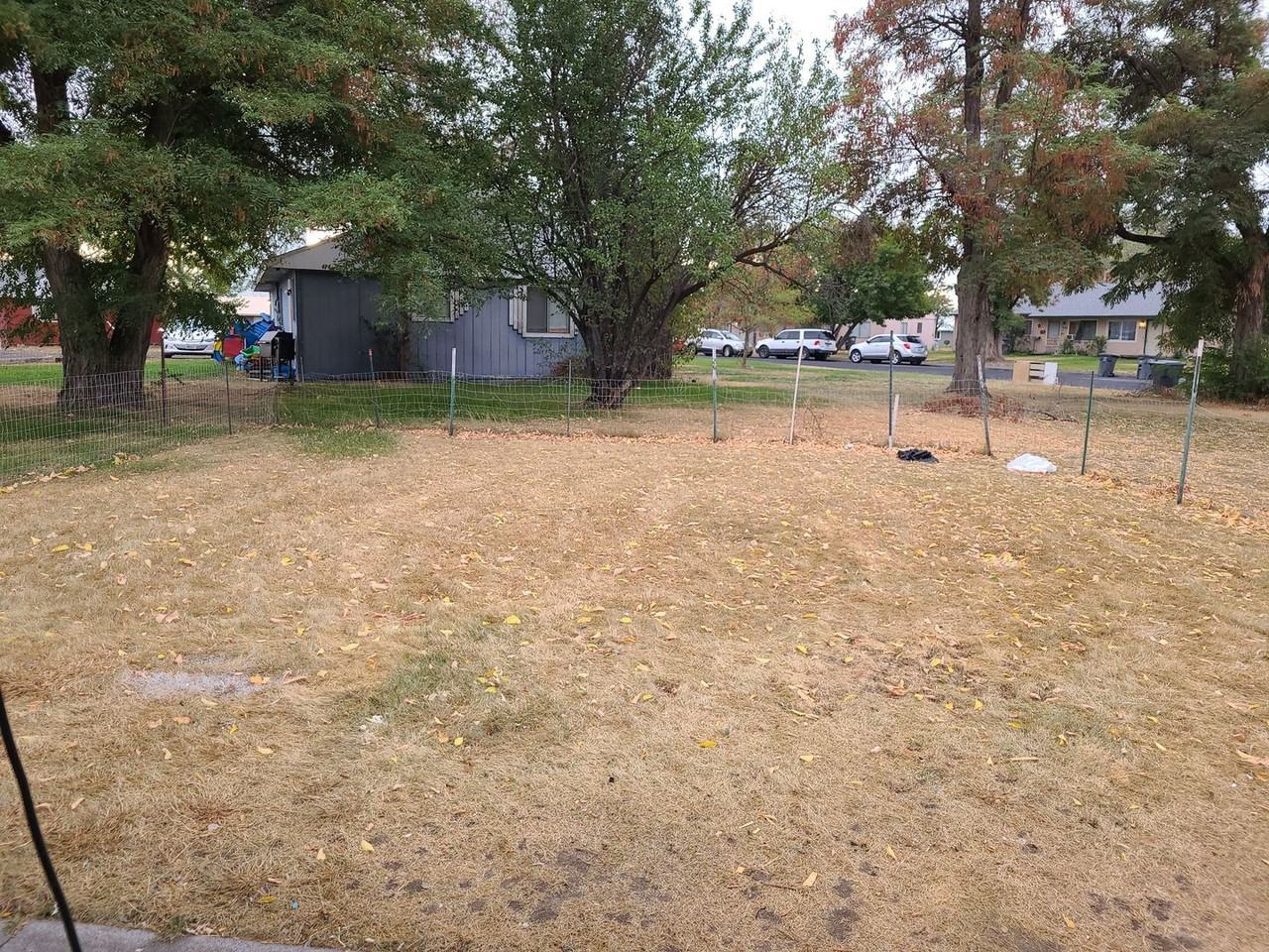 925/927 Lowry - Photo 2 of 22