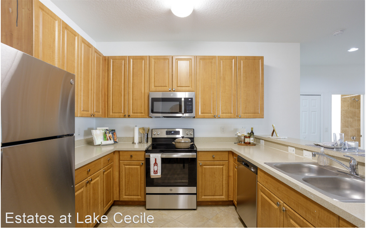 Estates At Lake Cecile - Photo 3 of 28