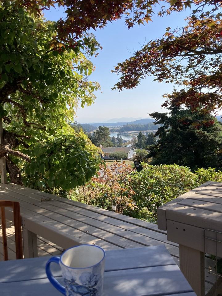 344 Klickitat Drive, La Conner, WA 98257 3 bedroom House Rental Zumper