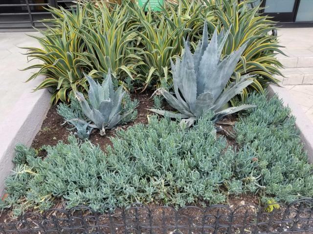 3932 Laurel Canyon Blvd - Photo 2 of 50