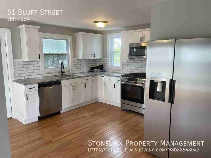 61 Bluff St - Photo 3 of 14