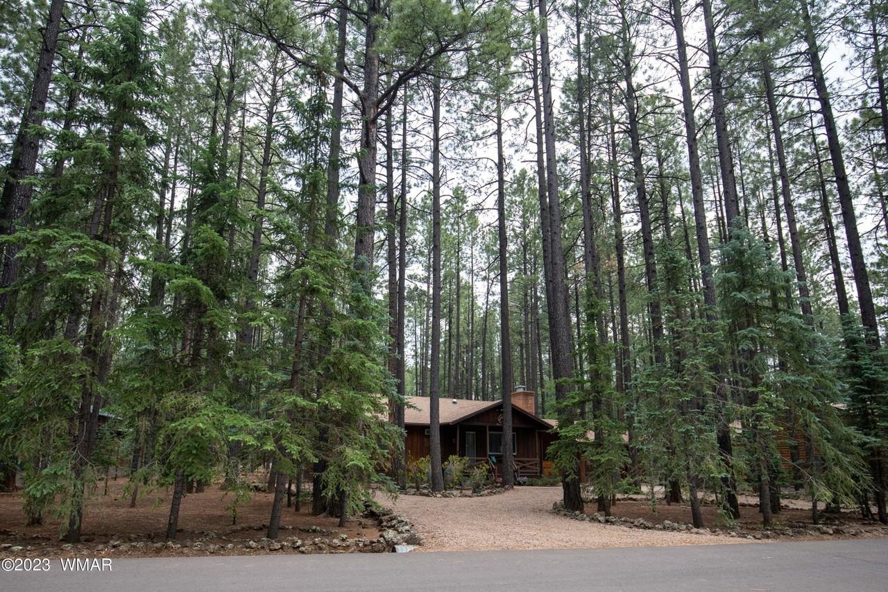 8533 Wild Horse Rd #NA - Photo 3 of 22