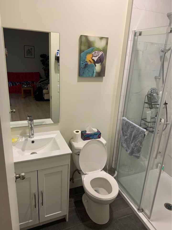 3600 Rue Lorne Crescent #1 - Photo 3 of 6