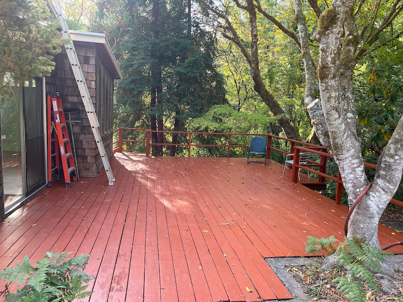 1310 Furlong Rd - Photo 2 of 12