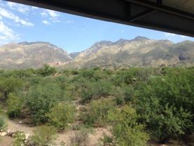 5800 N Kolb Rd #6232 - Photo 1 of 1