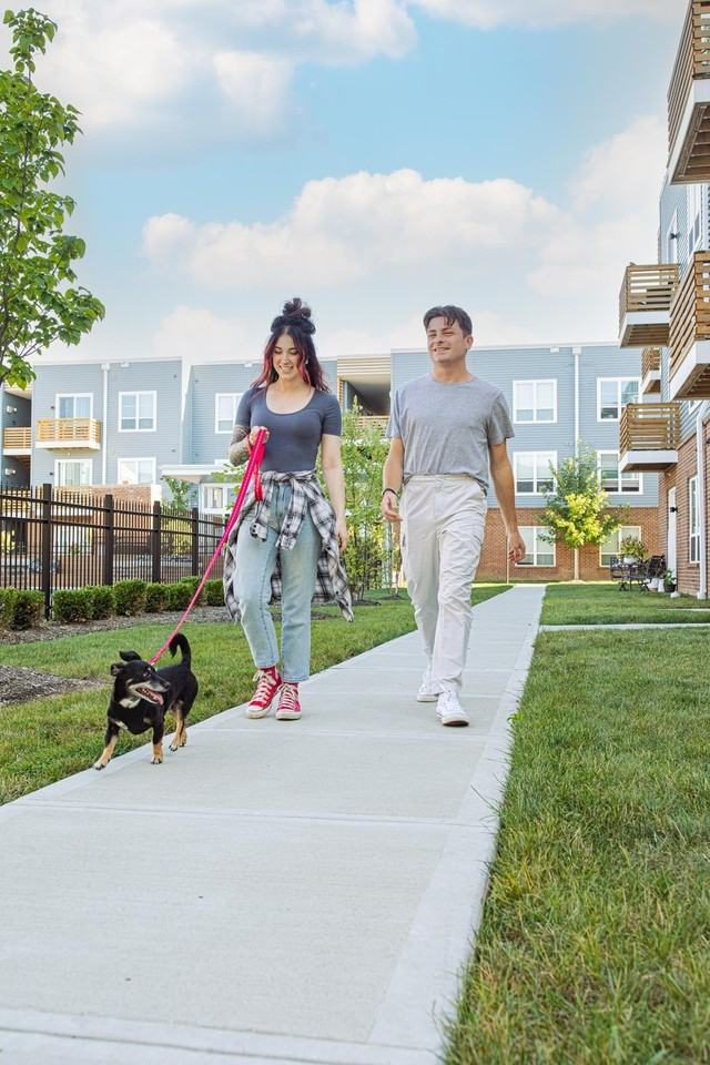 Graceland Flats - Photo 6 of 50