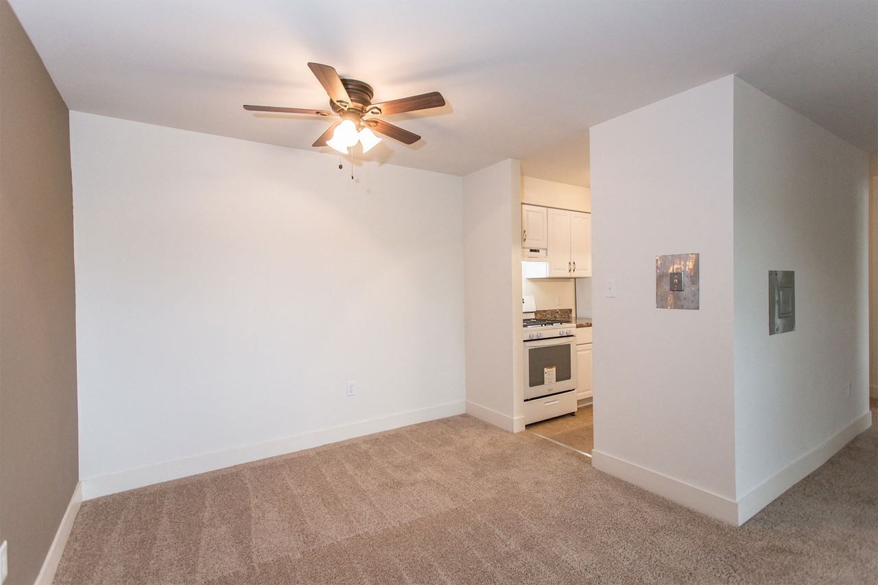 Hampshire Park - Photo 2 of 19