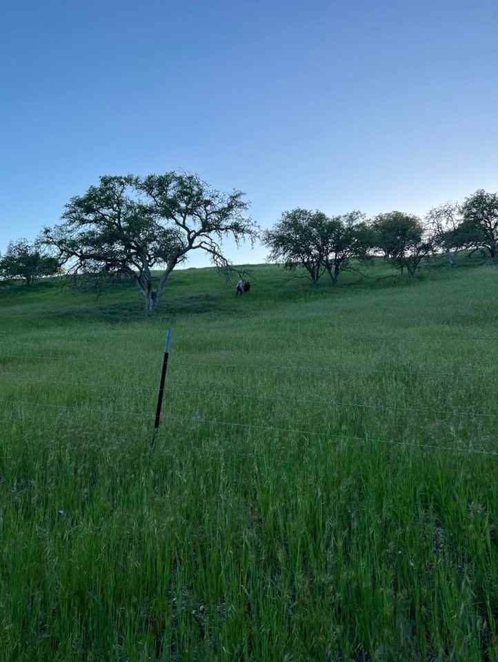 6855 Ranchita Oaks Pl #NA - Photo 2 of 15