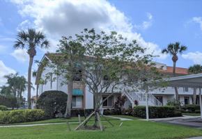 featured image of 4378 Madeira Ct #4378