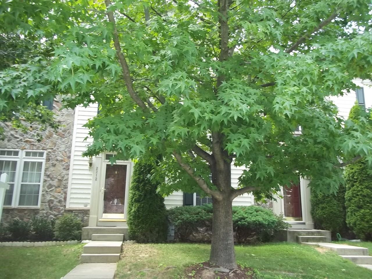 2212 Barnet Ct - Photo 2 of 31