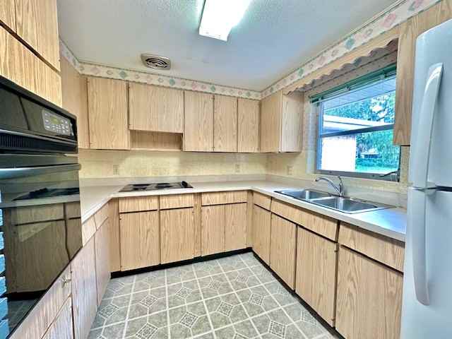 803 Tangerine St - Photo 2 of 14