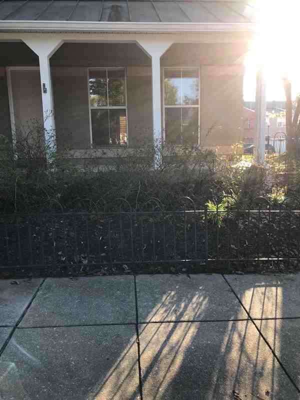 37Xx Grant Place Ne #1stFLCONDO - Photo 3 of 34