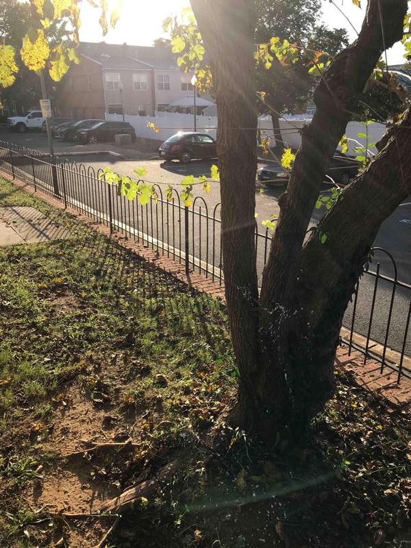 37Xx Grant Place Ne #1stFLCONDO - Photo 4 of 34