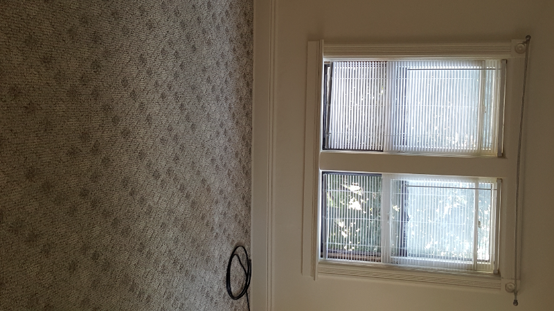 314 W 21st St #2ndFL - Photo 5 of 10