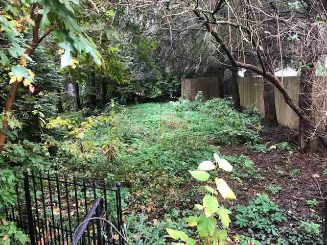 11 Woodland Road, Wyomissing, PA 19610 3 Bedroom House for 1,800/month