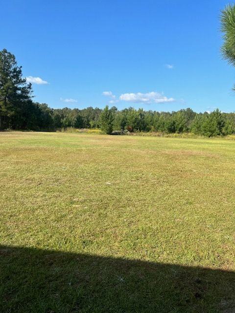 356 Dingle Ln - Photo 3 of 10