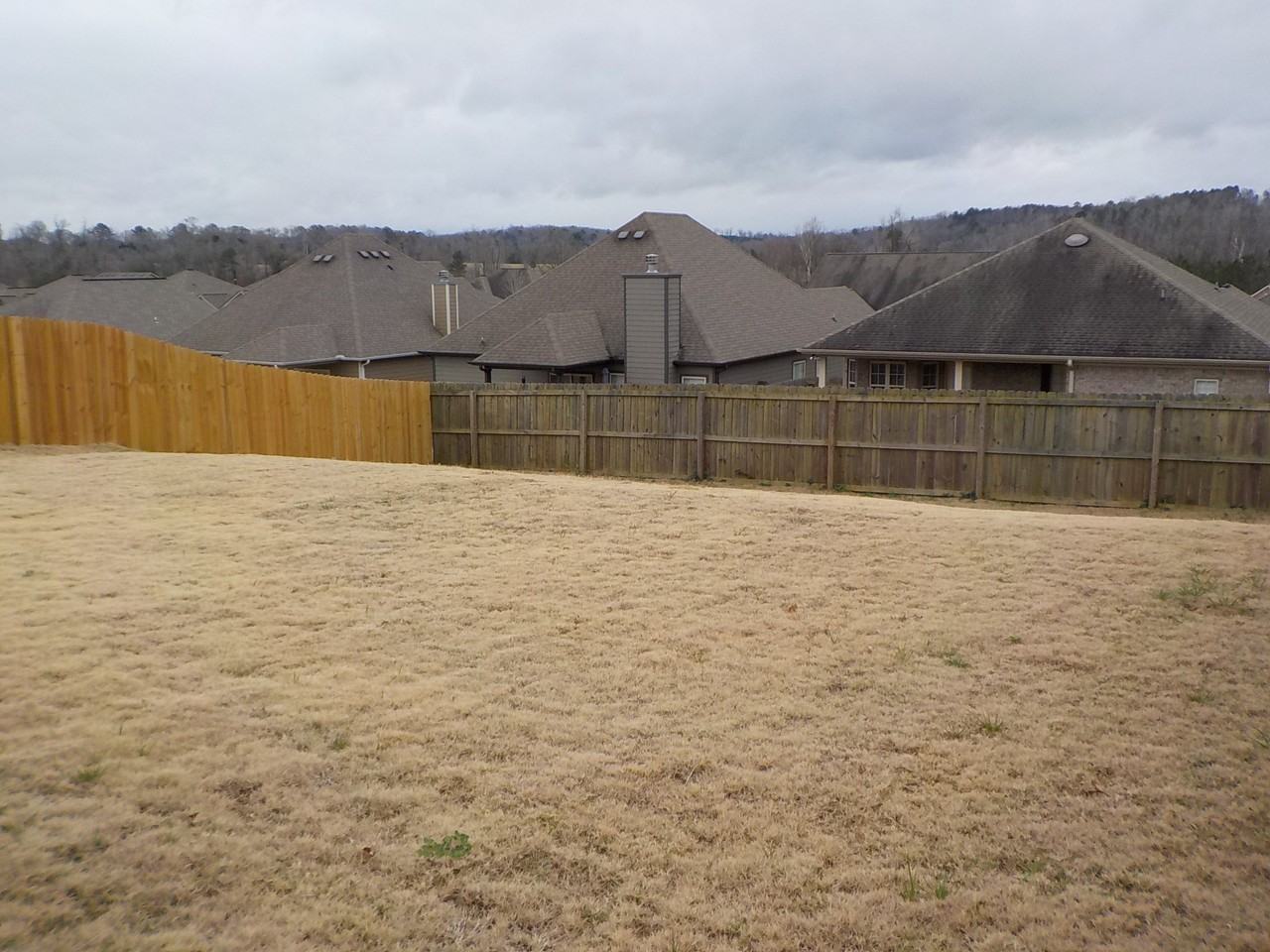 217 Center Field Dr - Photo 2 of 5