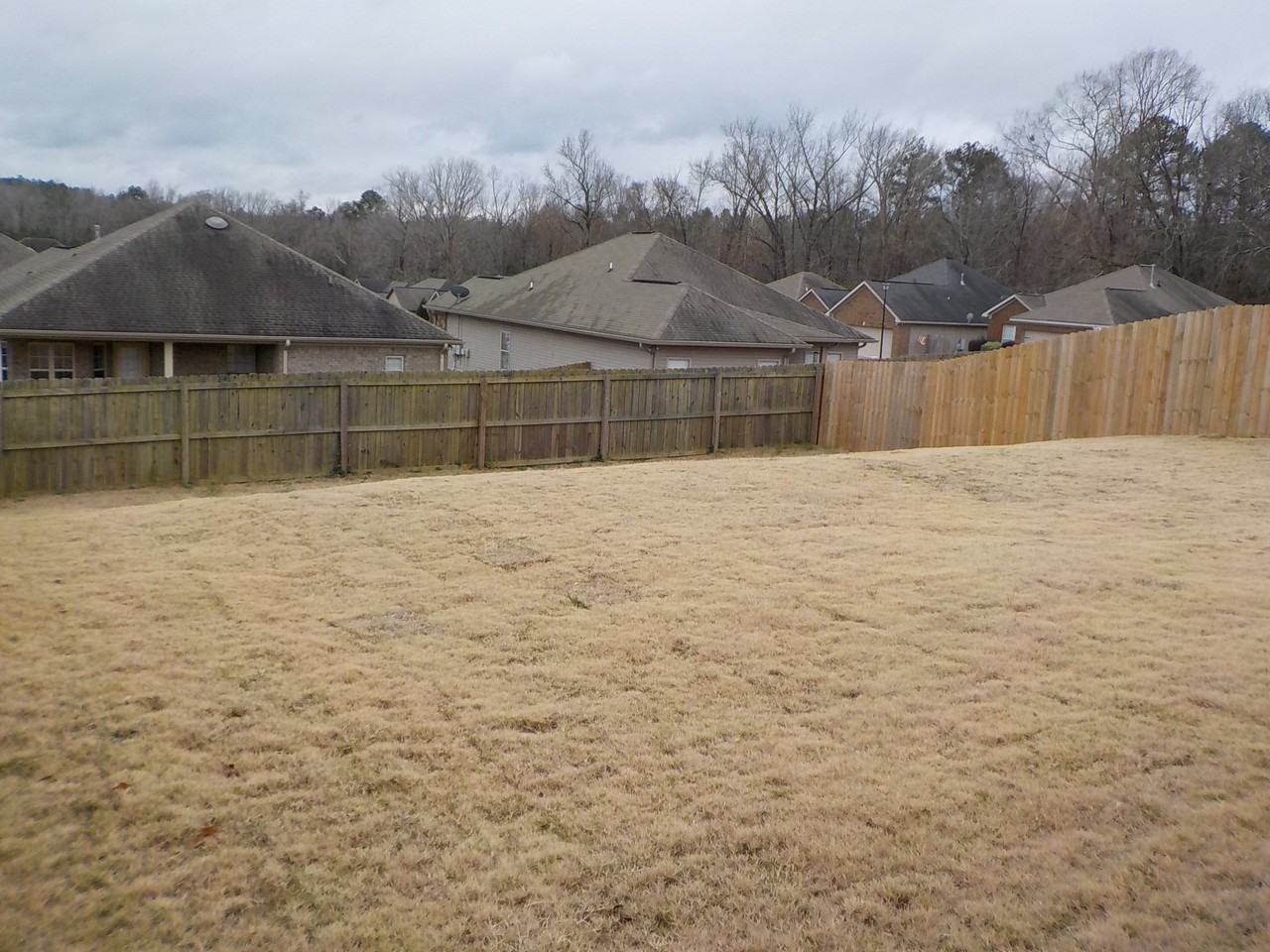 217 Center Field Dr - Photo 3 of 5