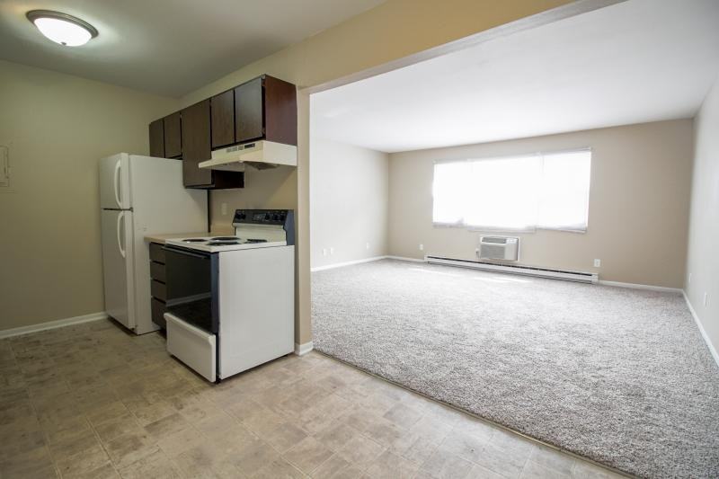 230 S Division St - Photo 6 of 10