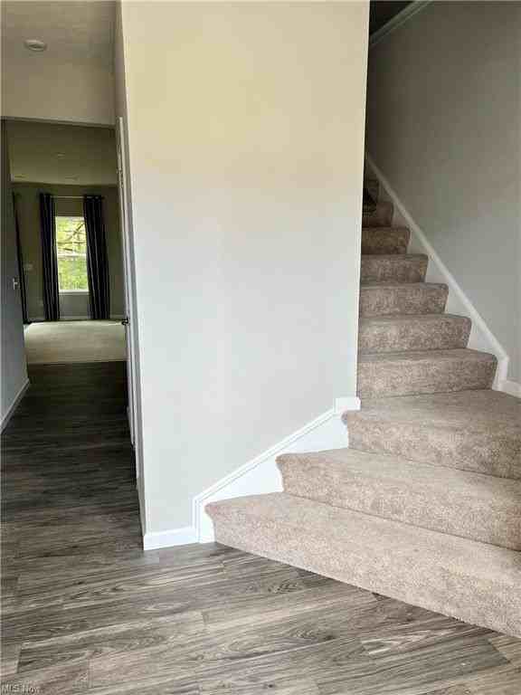 1207 Meadow Run - Photo 2 of 19