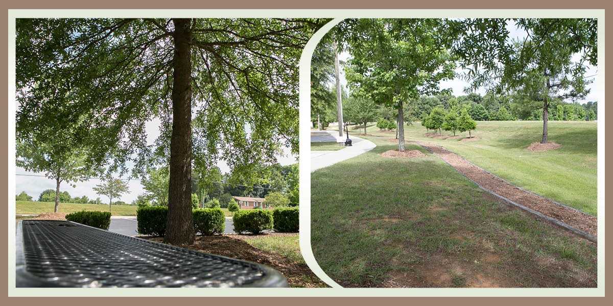 Caitlin Station - Photo 2 of 20