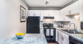 The Lakes at Fountain Square Apartment Homes - Photo 1 of 1