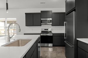 featured image of 3011 Alpha Wolf Court #1