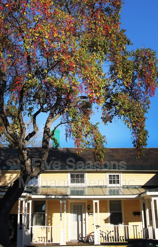 202 Pine St - Photo 4 of 13