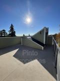 8717 110 St Nw #3B - Photo 1 of 1
