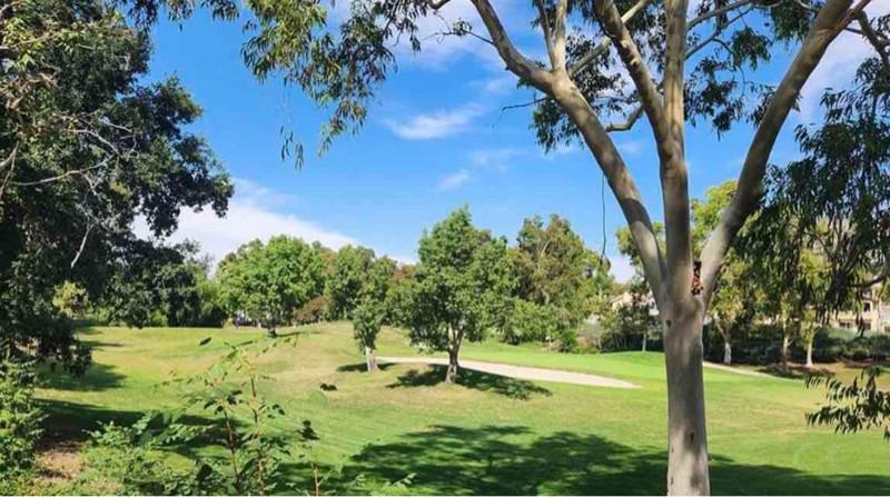 28 Cascada - Photo 3 of 17