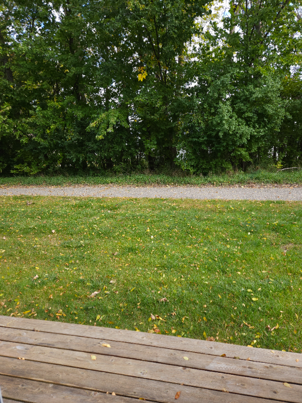 434 Cedar Pl - Photo 2 of 23